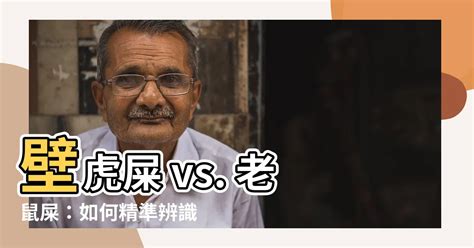 發現老鼠屎|老鼠屎辨識秘訣